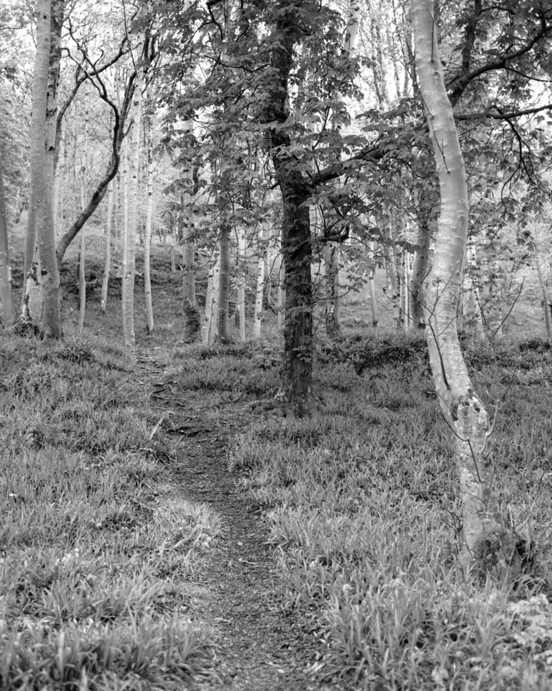 © Dakota Sebourn - Image from the An Dùil Latha Bealltainn photography project