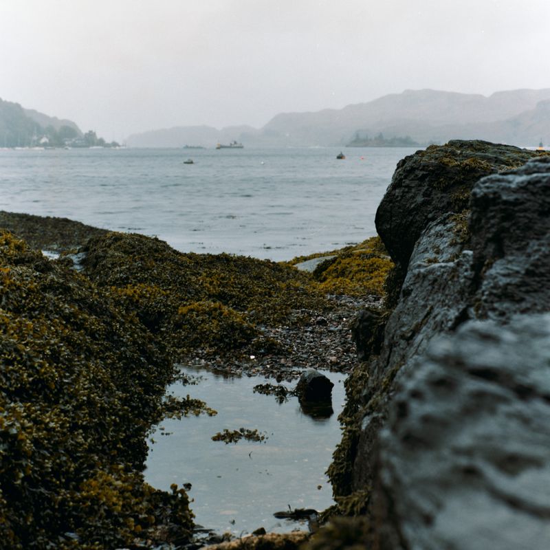 © Dakota Sebourn - Image from the An Dùil Latha Bealltainn photography project