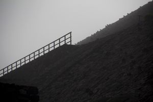  Forensic Documents. 2013