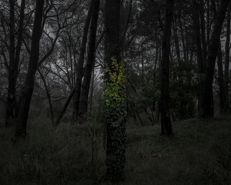 © Mariano Imperial - Image from the D E E P photography project