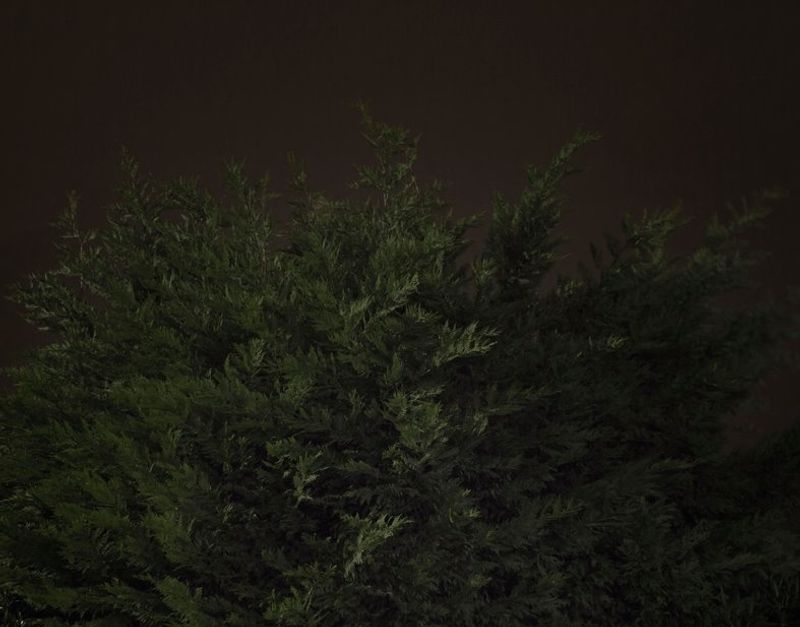 © Mariano Imperial - Image from the D E E P photography project