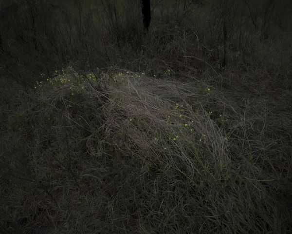 © Mariano Imperial - Image from the D E E P photography project