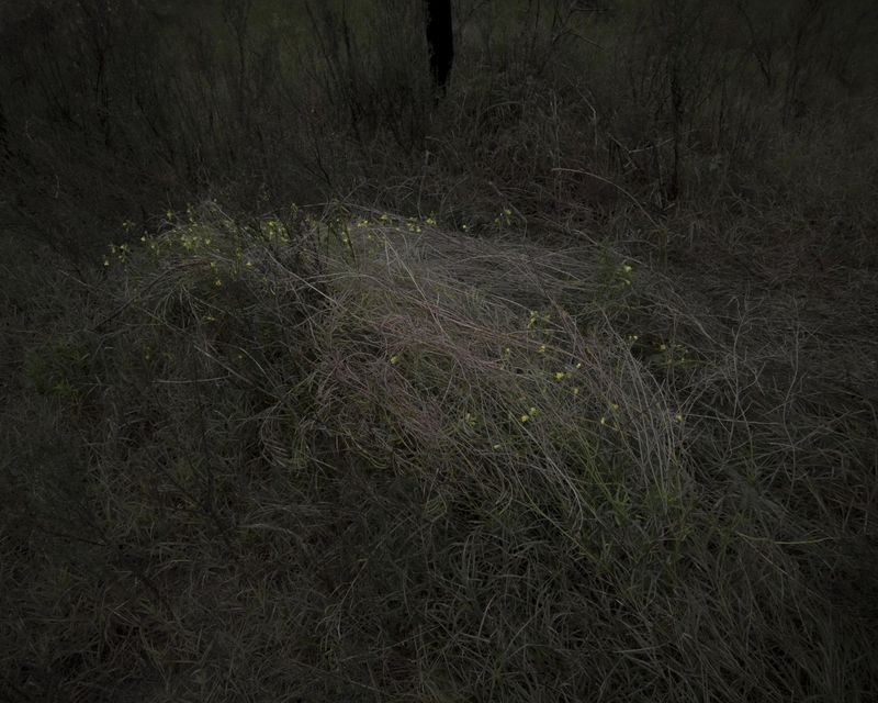 © Mariano Imperial - Image from the D E E P photography project