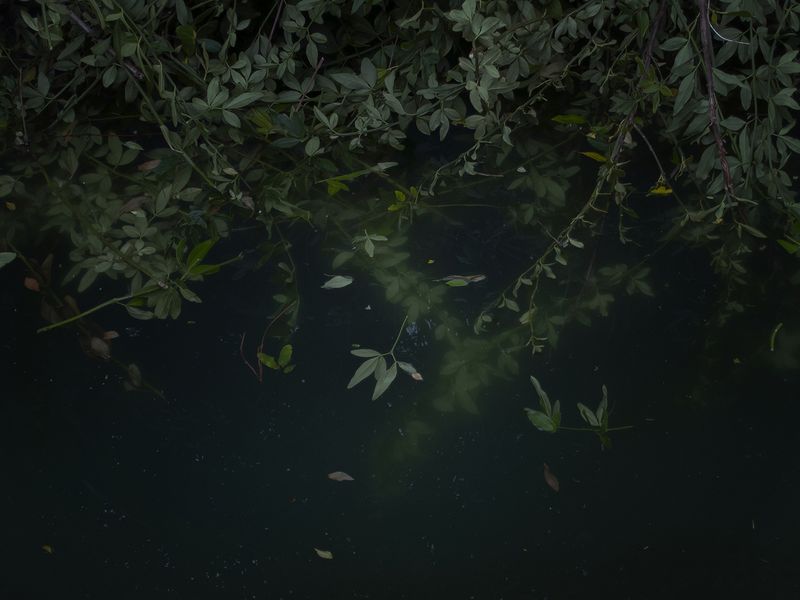 © Mariano Imperial - Image from the D E E P photography project