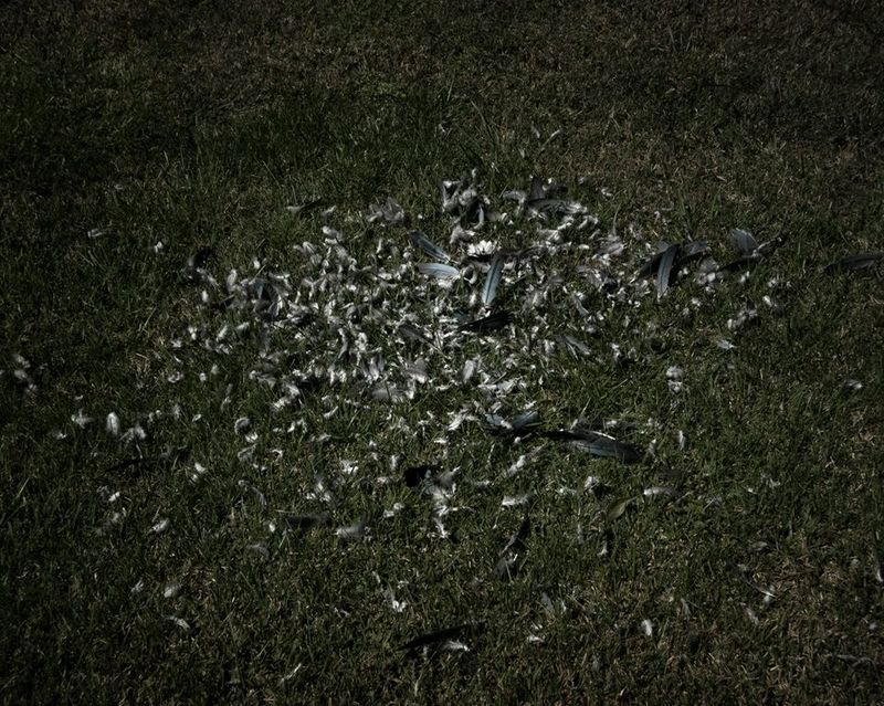 © Mariano Imperial - Image from the D E E P photography project