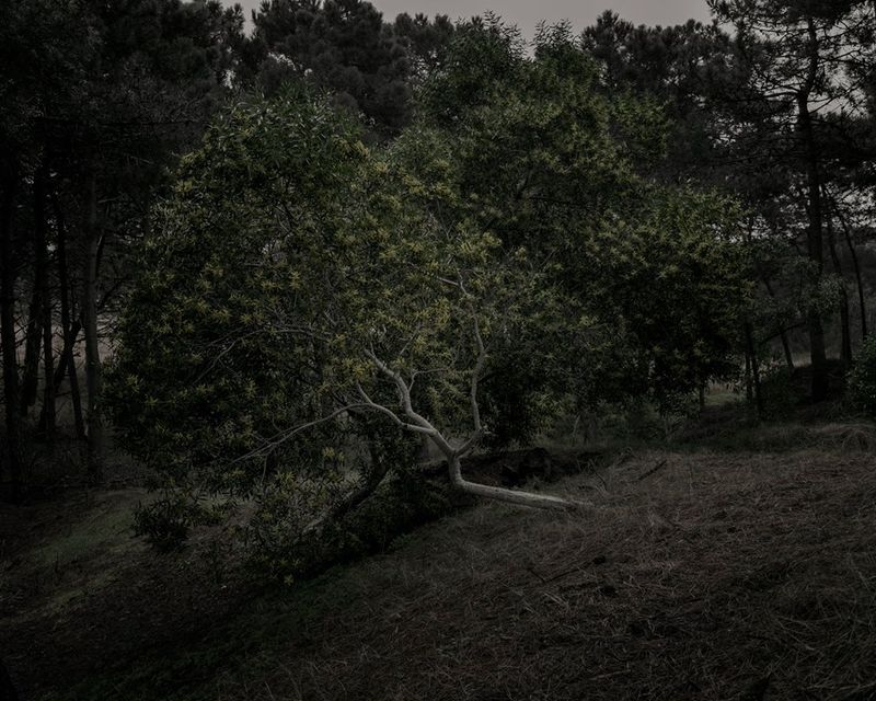 © Mariano Imperial - Image from the D E E P photography project