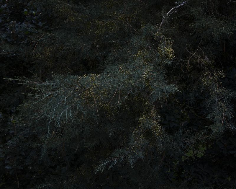 © Mariano Imperial - Image from the D E E P photography project