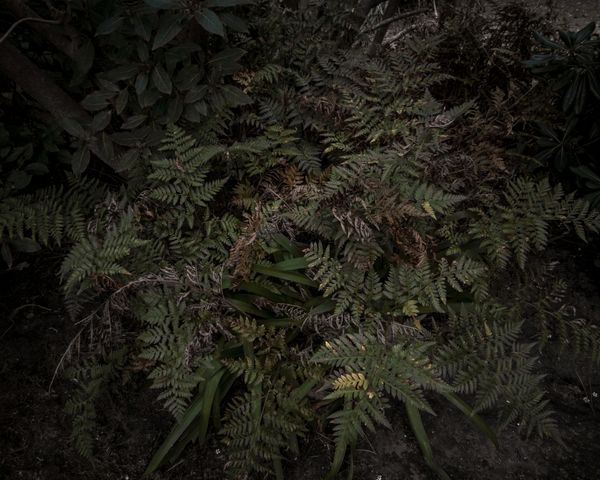 © Mariano Imperial - Image from the D E E P photography project