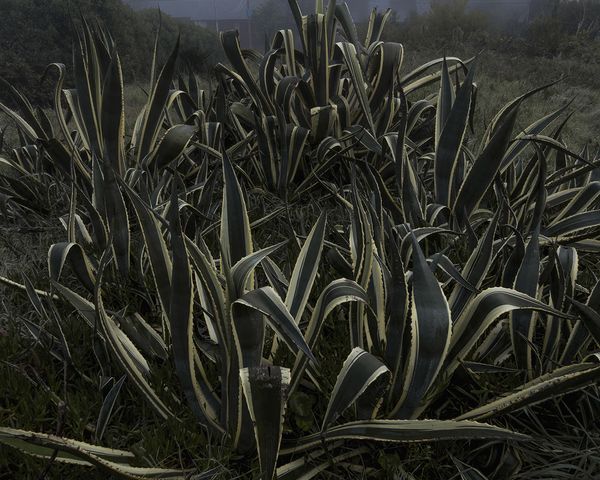 © Mariano Imperial - Image from the D E E P photography project