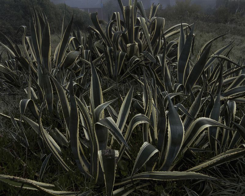 © Mariano Imperial - Image from the D E E P photography project