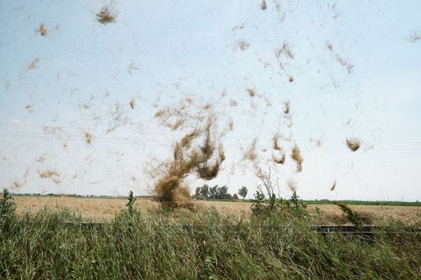 © Federico Possati - Image from the The Archeological Bazaar photography project