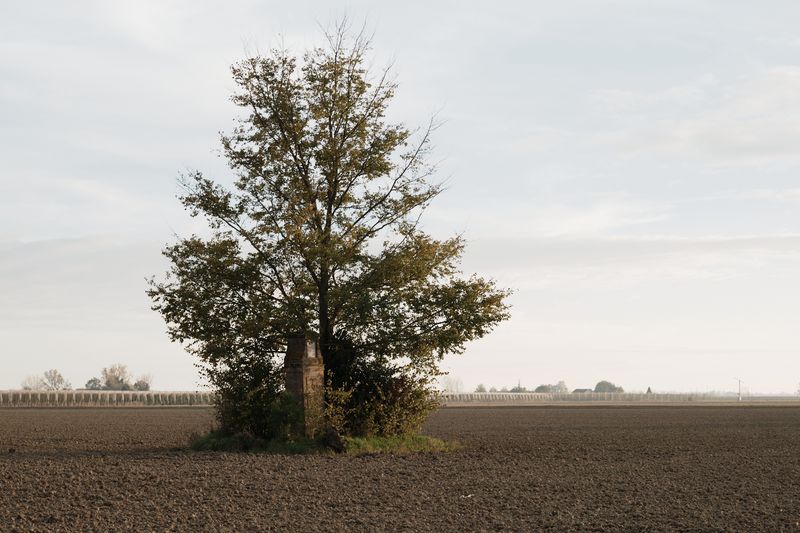 © Federico Possati - Image from the The Archeological Bazaar photography project