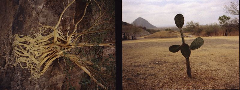 © Hanna Quevedo - Image from the RAIZ photography project