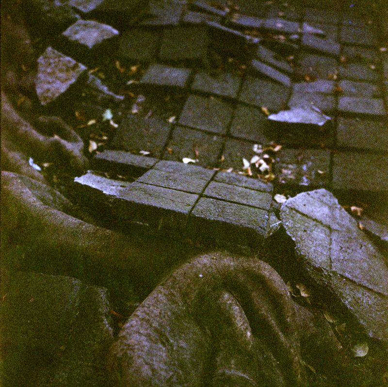 © Hanna Quevedo - Image from the RAIZ photography project