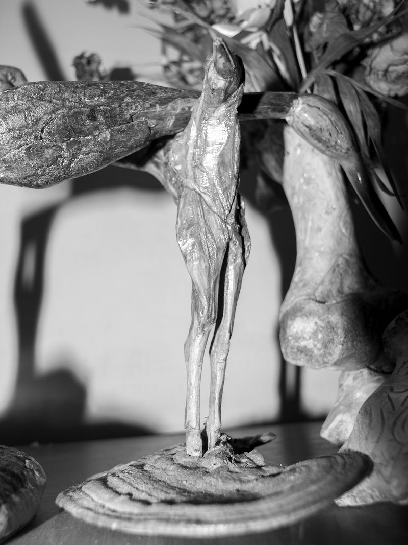 © Kincső Bede - Image from the Kincső Bede: The Art of Pista photography project