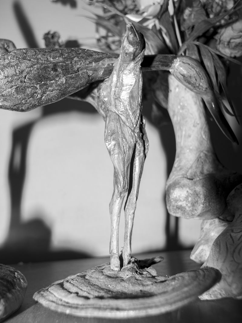 © Kincső Bede - Image from the Kincső Bede: The Art of Pista photography project