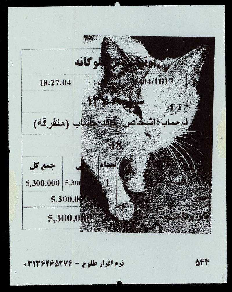 © Caro Mirzoyan - Tehran Cat N7