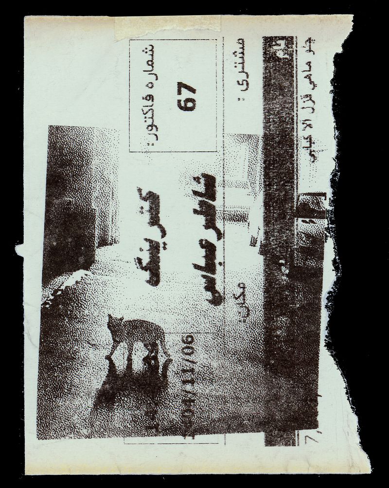 © Caro Mirzoyan - Tehran Cat N18