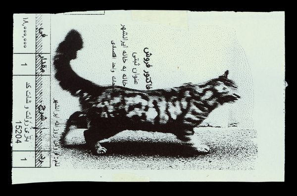 © Caro Mirzoyan - Tehran Cat N3