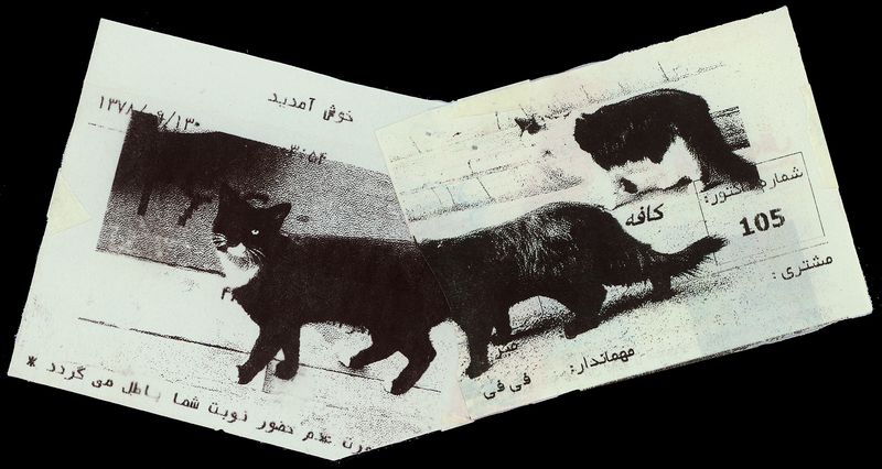 © Caro Mirzoyan - Tehran Cat N20