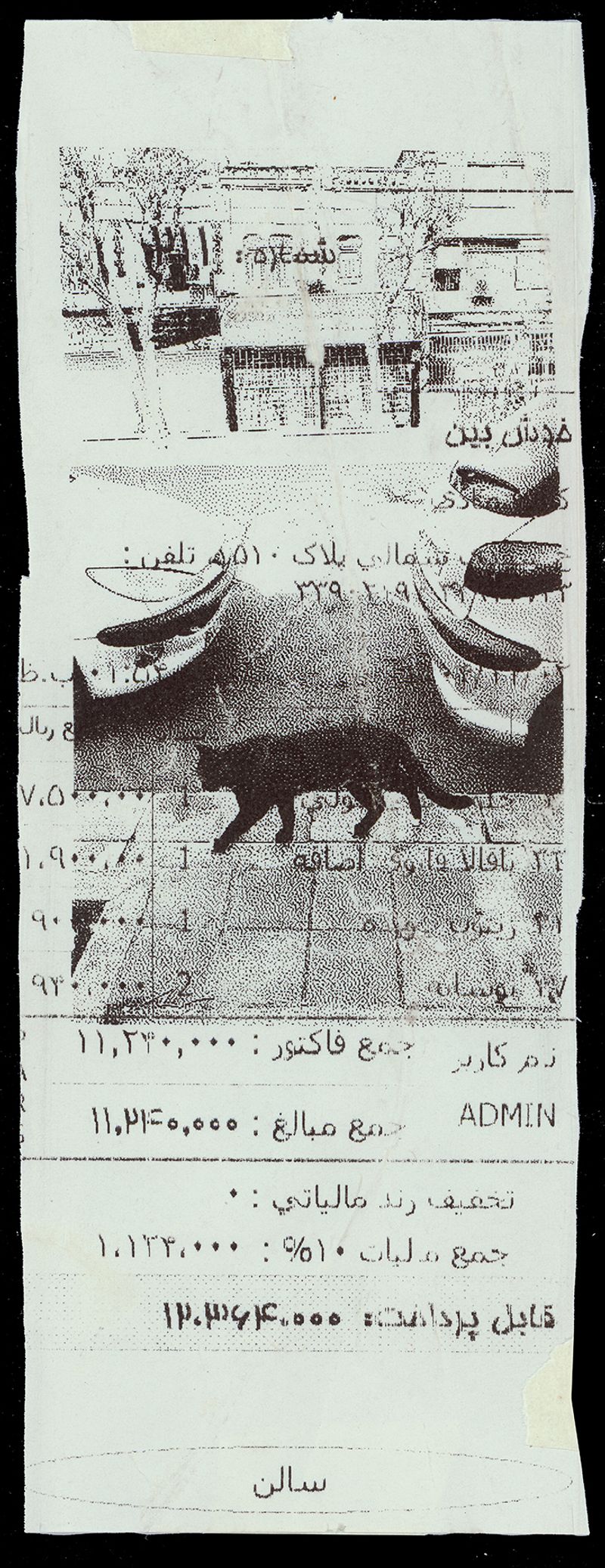 © Caro Mirzoyan - Tehran Cat N17
