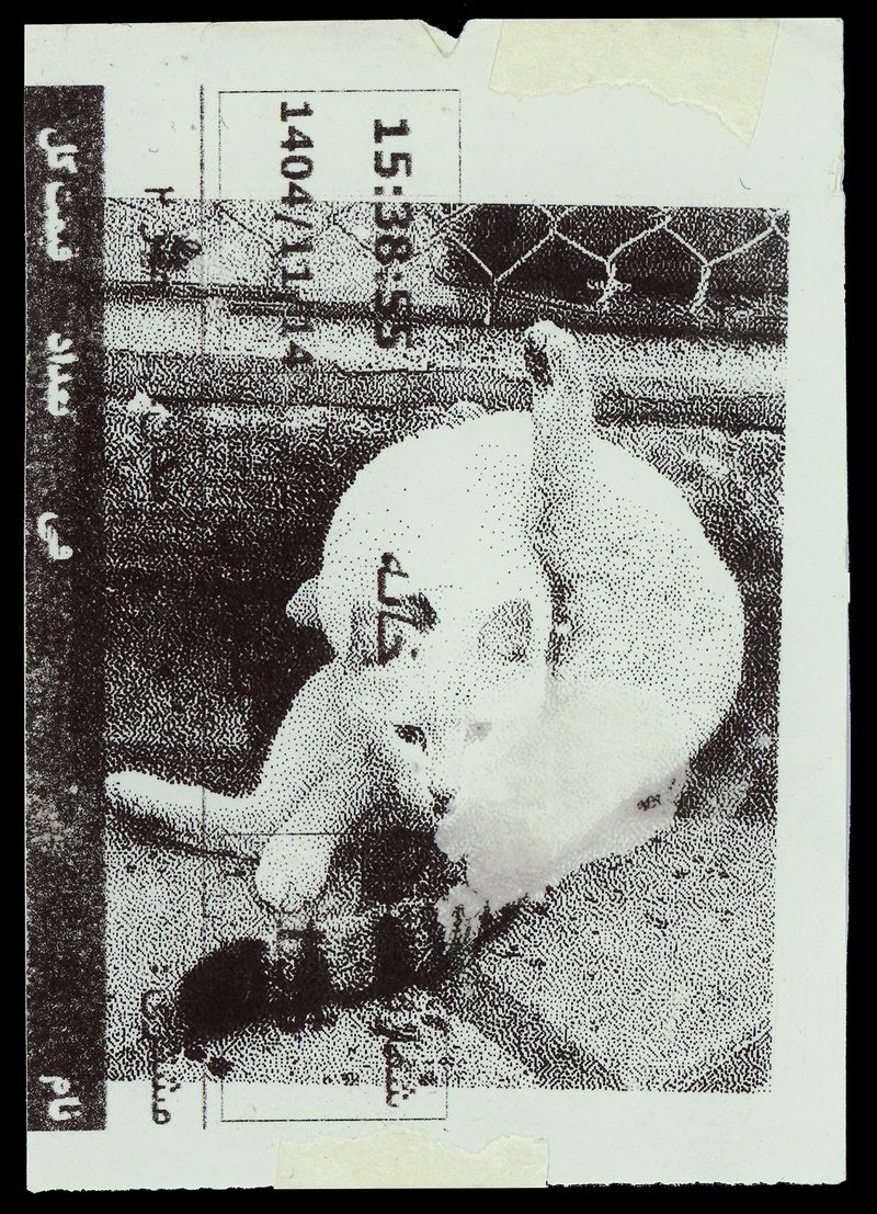 © Caro Mirzoyan - Tehran Cat N14