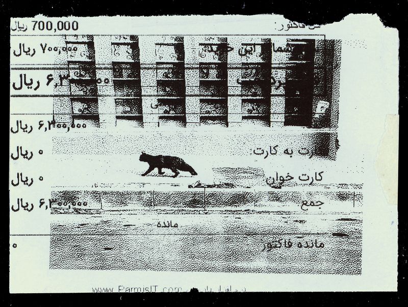 © Caro Mirzoyan - Tehran Cat N19