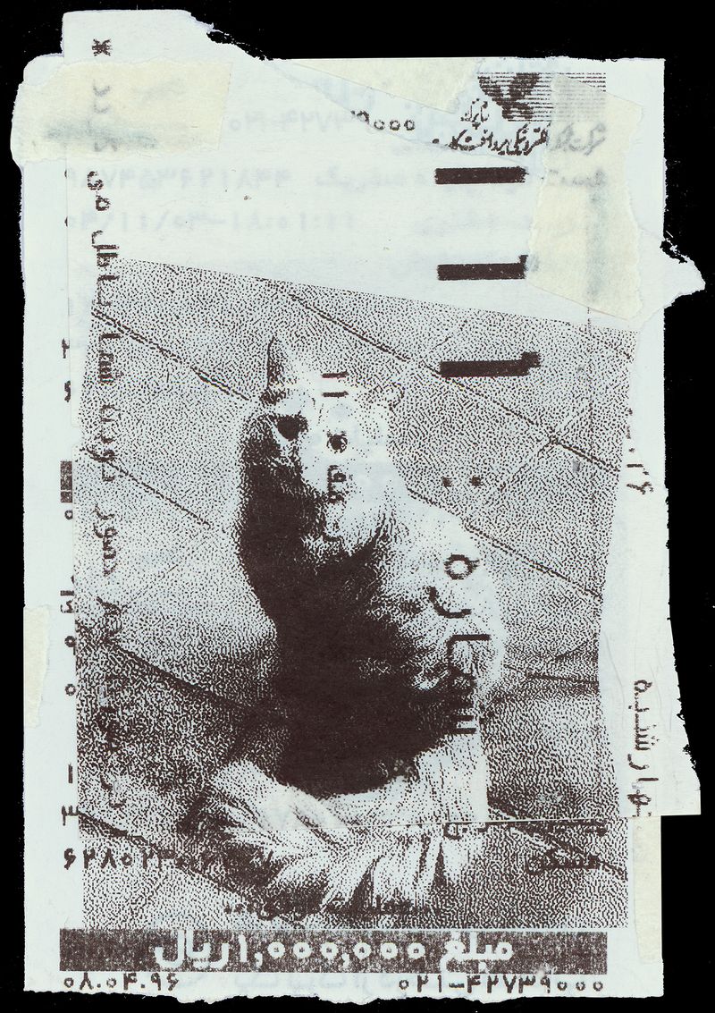 © Caro Mirzoyan - Tehran Cat N11