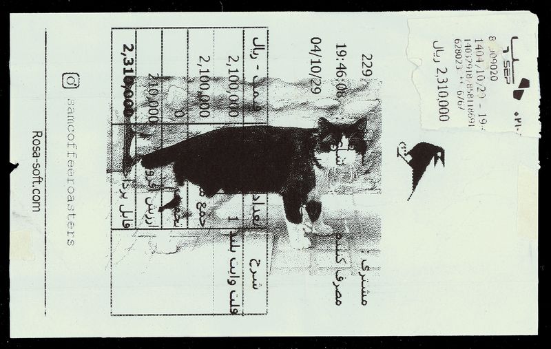 © Caro Mirzoyan - Tehran Cat N2