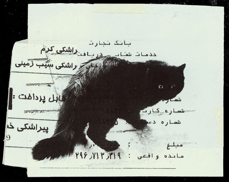 © Caro Mirzoyan - Tehran Cat N15