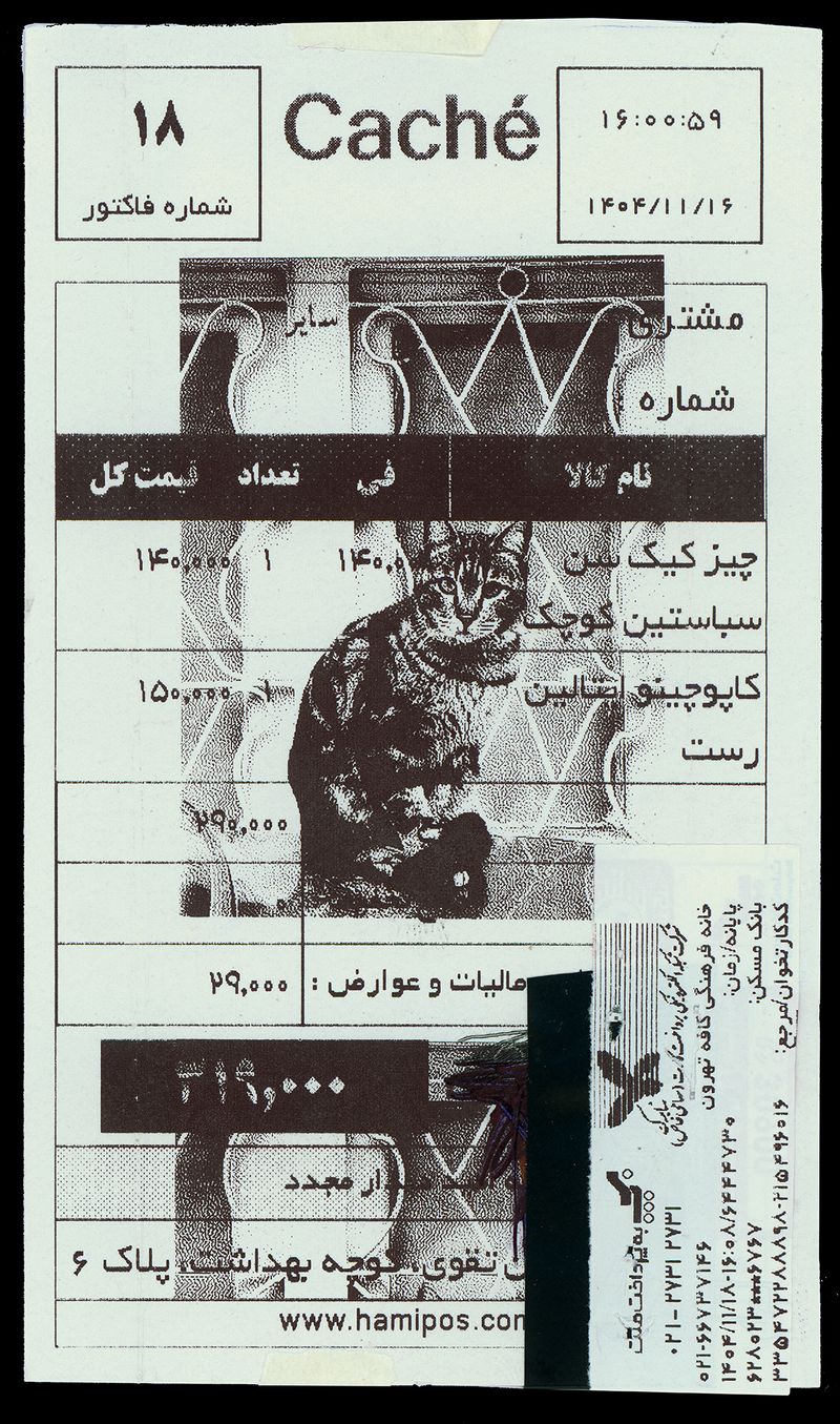 © Caro Mirzoyan - Tehran Cat N12