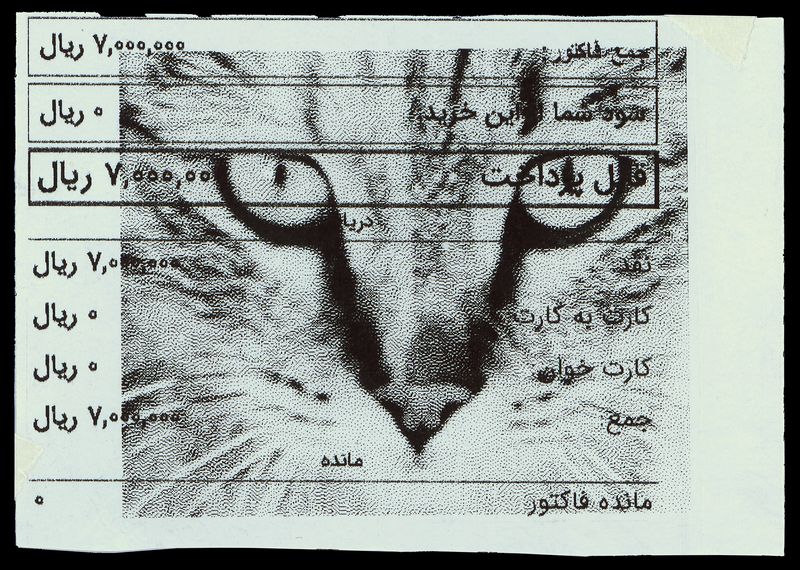 © Caro Mirzoyan - Tehran Cat N9