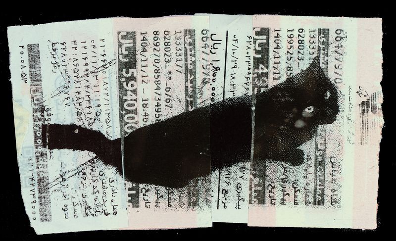 © Caro Mirzoyan - Tehran Cat N4