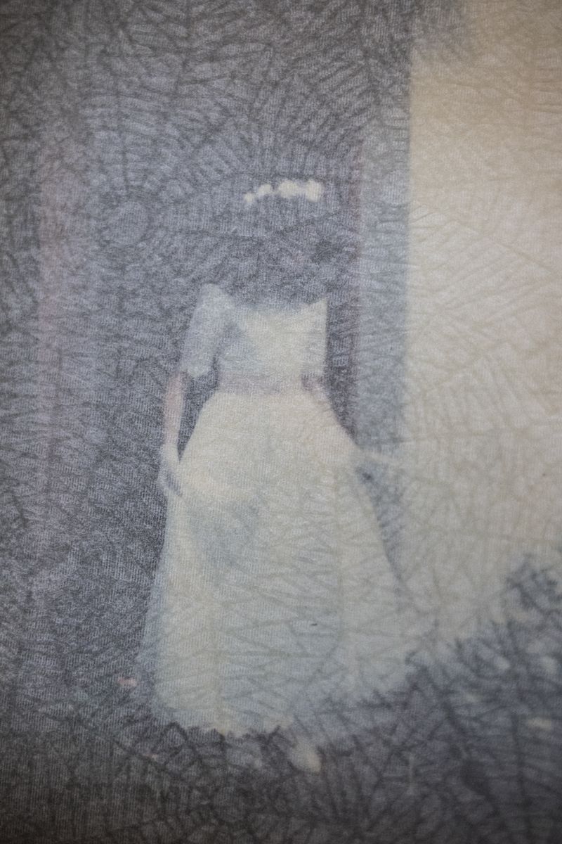 © Fabiola Ferrero - Image from the I Can't Hear the Birds photography project