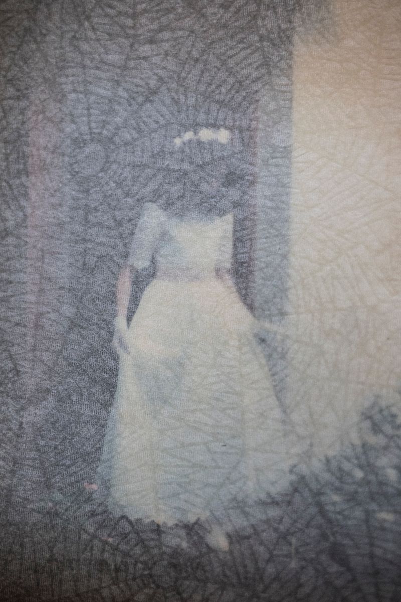 © Fabiola Ferrero - Image from the I Can't Hear the Birds photography project