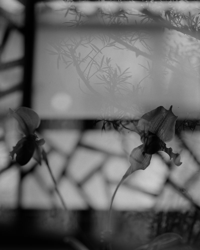 © Yang Zhou - Suzhou, China