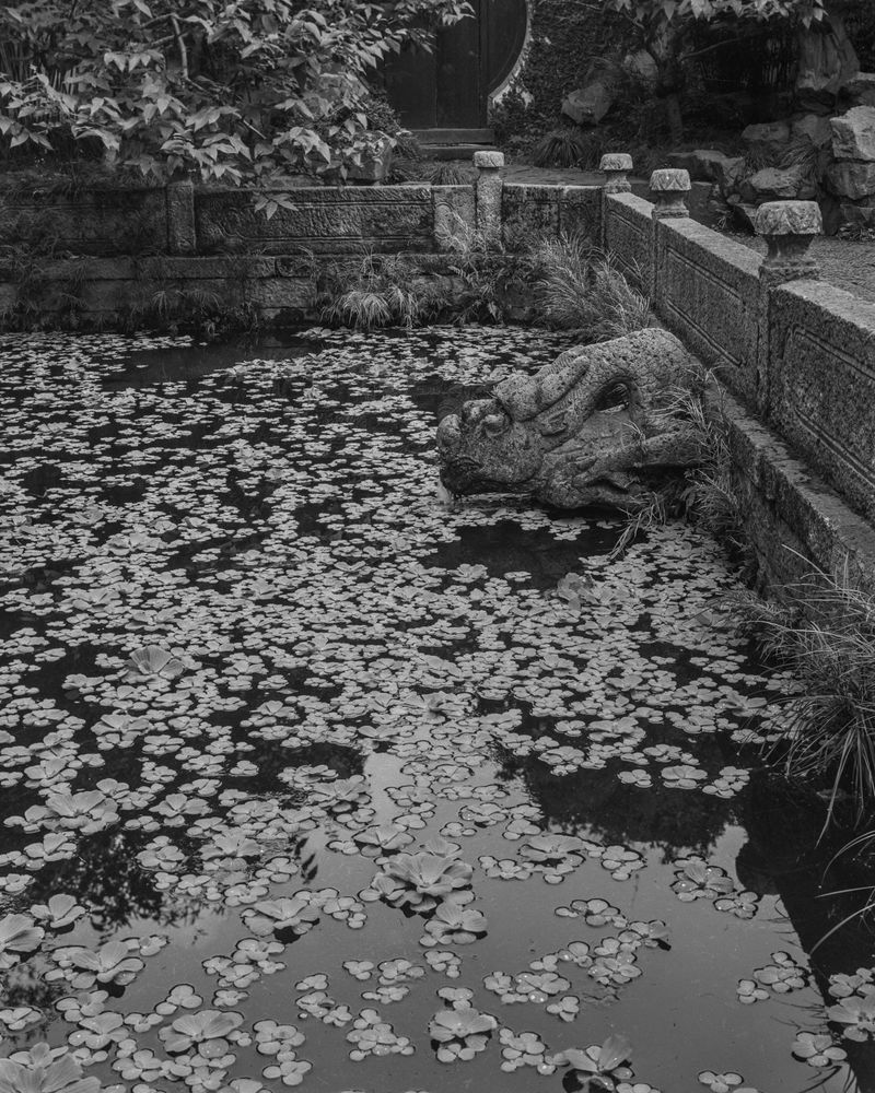 © Yang Zhou - Wuxi, China