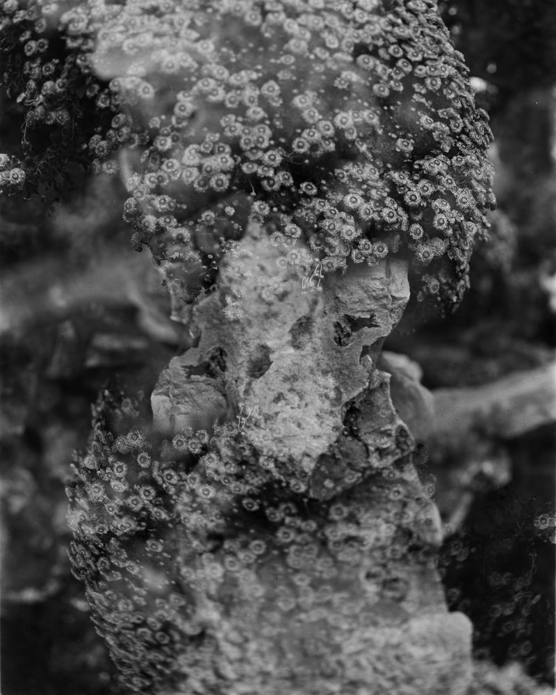 © Yang Zhou - Suzhou, China