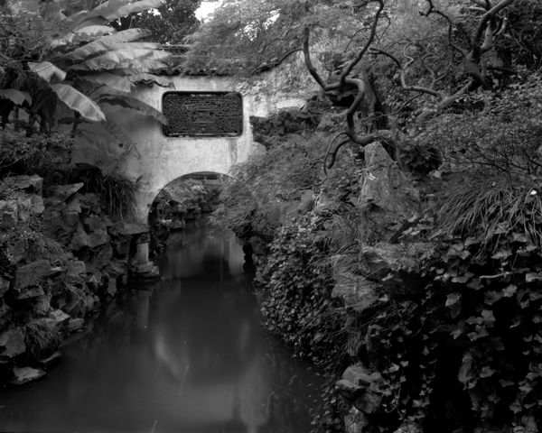 © Yang Zhou - Shanghai, China