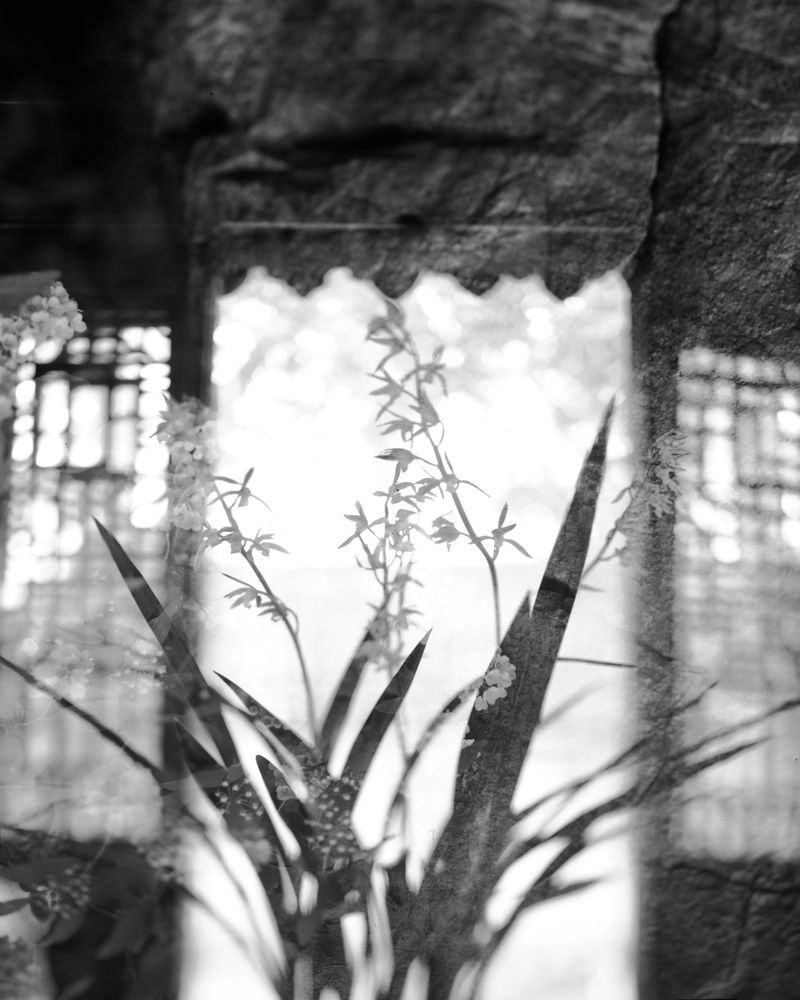 © Yang Zhou - Suzhou, China