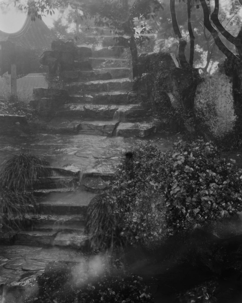 © Yang Zhou - Shanghai, China