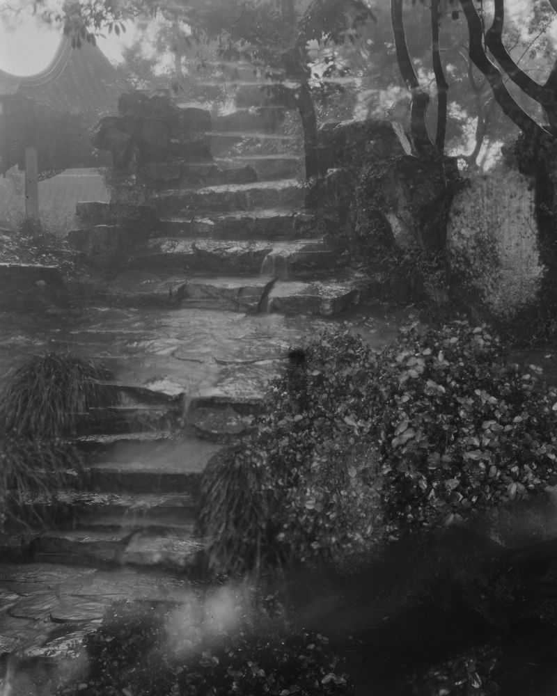 © Yang Zhou - Shanghai, China