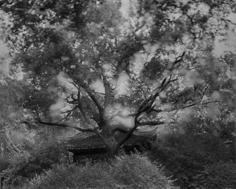 © Yang Zhou - Wuxi, China