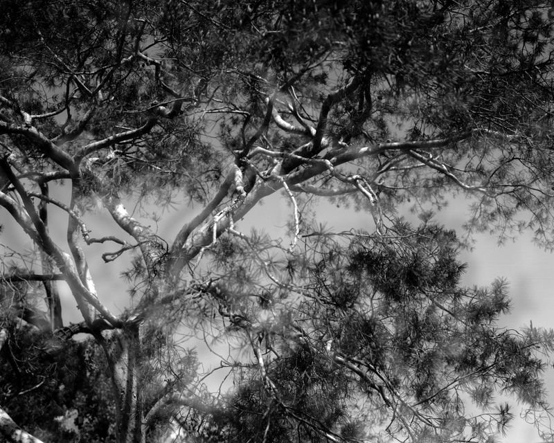 © Yang Zhou - Suzhou, China