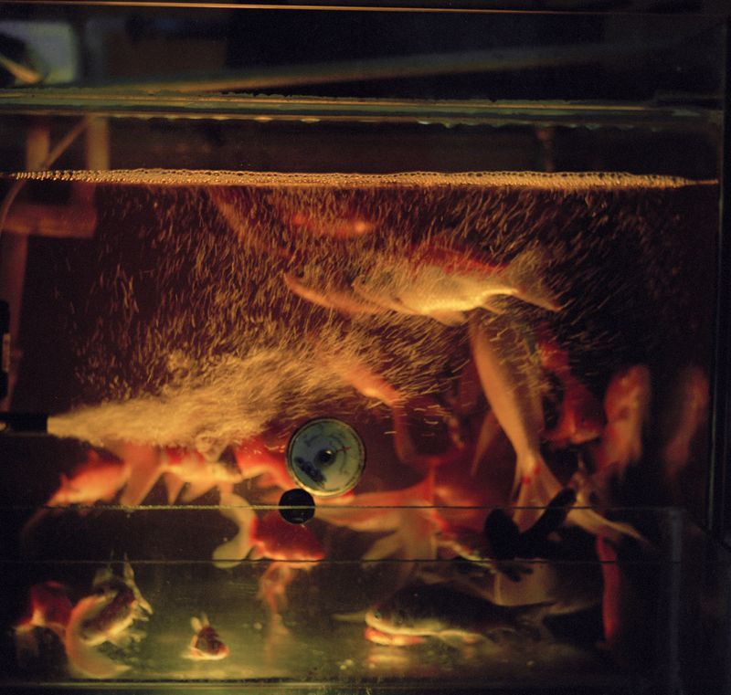 © Yang Zhou - Image from the How to Grow Old photography project