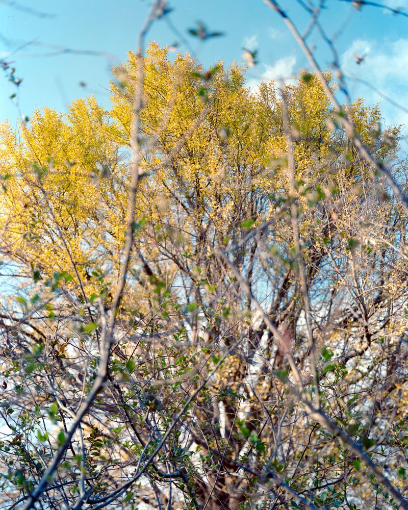 © Yang Zhou - Image from the Sites of Myths photography project