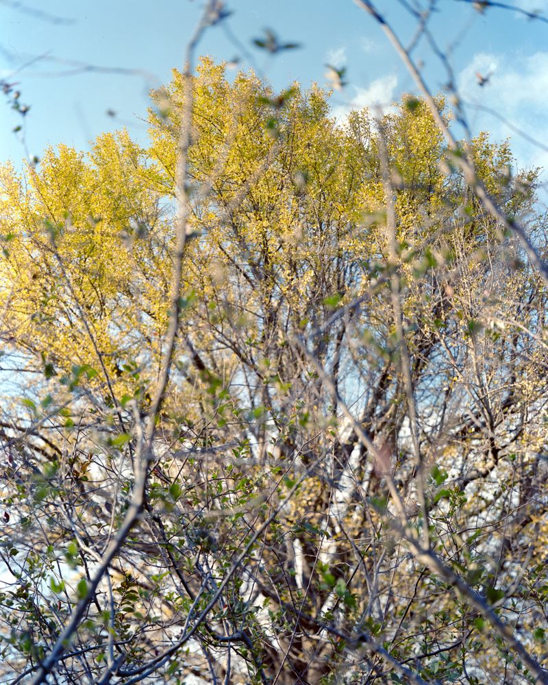 © Yang Zhou - Image from the Sites of Myths photography project
