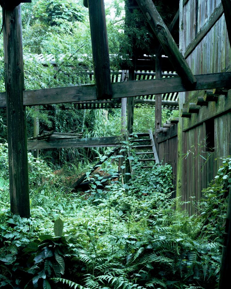 © Yang Zhou - Image from the Sites of Myths photography project