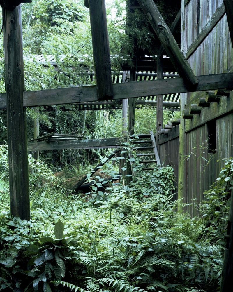 © Yang Zhou - Image from the Sites of Myths photography project