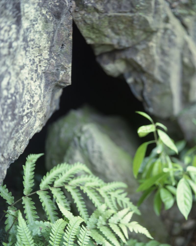 © Yang Zhou - Image from the Sites of Myths photography project